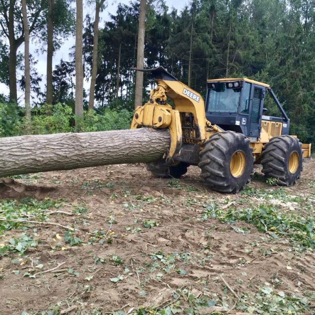 Uitsleepmachine sleept een gevelde stam weg bij het rooien van bomen in Maldegem