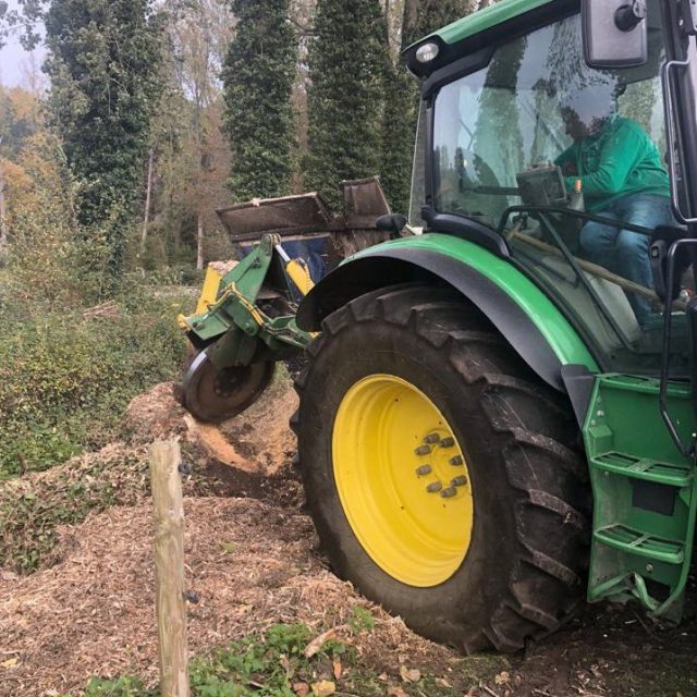 Tractor met stronkenfrees bij het uitfrezen van boomstronken in Sijsele